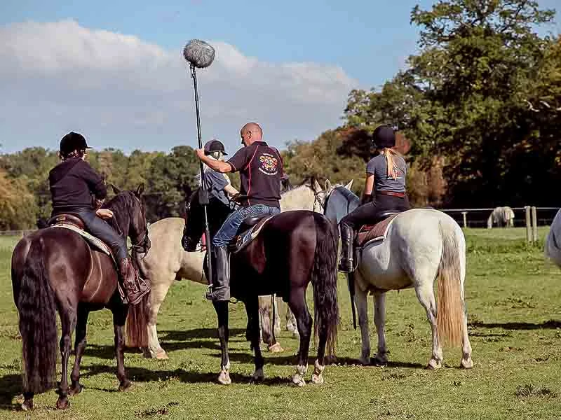 FA_Field_Recording_17