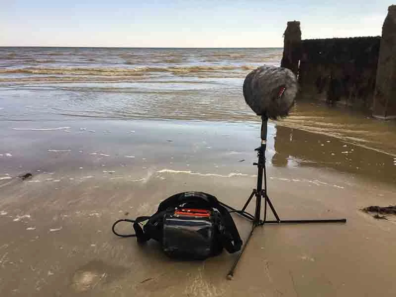 FA_Field_Recording_54